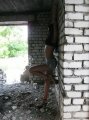 ВИКТОРИЯ : +7 (908) 069-11-68